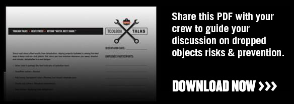Download Dropped Objects Toolbox Talks