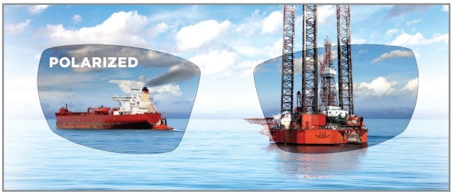 Polarized Lens Diagram