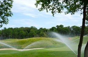 65 roses golf image 30