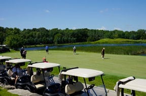65 roses golf image 17