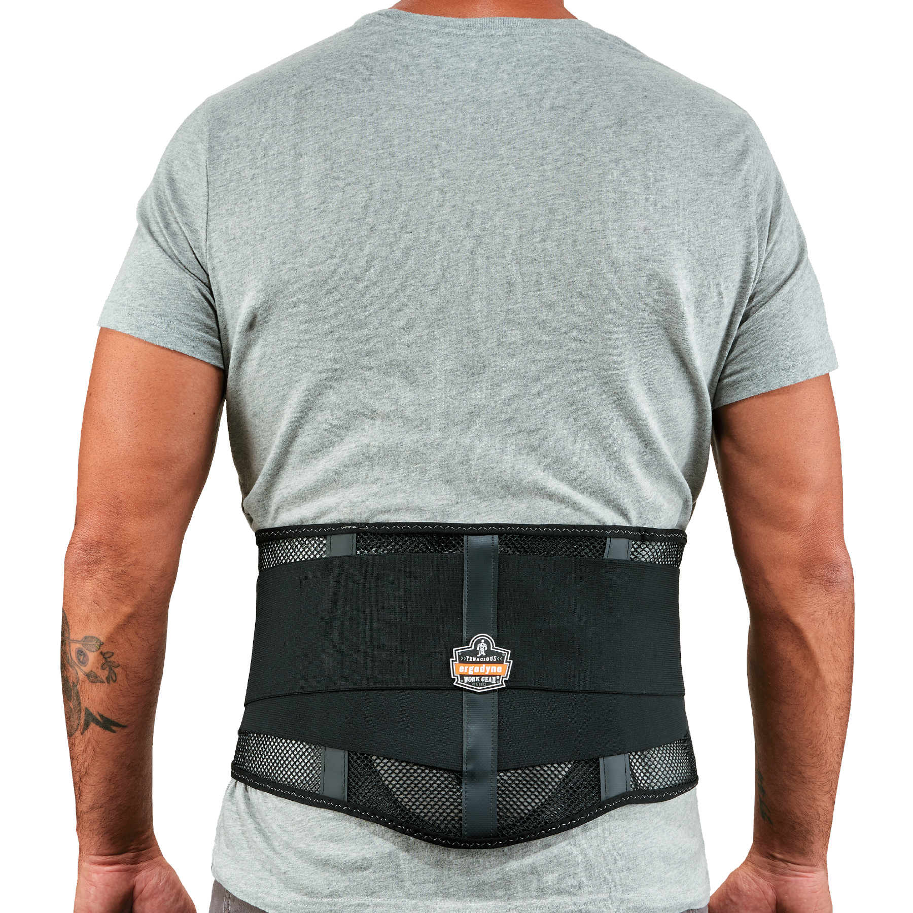 Back Support Braces & Belts