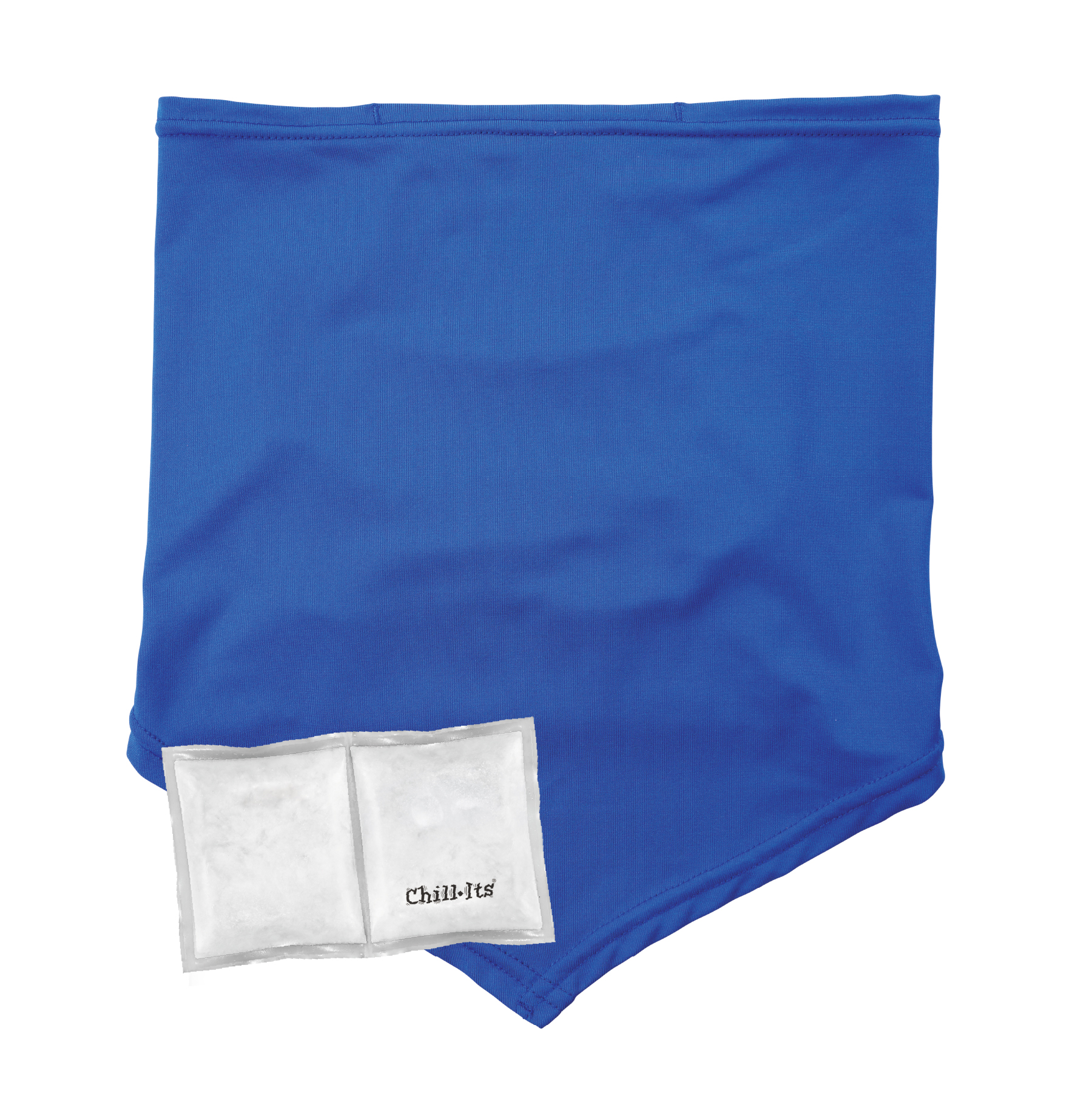 Cooling Neck Gaiter Bandana Kit | Ergodyne