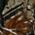 Realtree Xtra