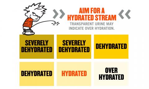 Urine hydration graphic