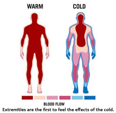 Blood flow to extremities