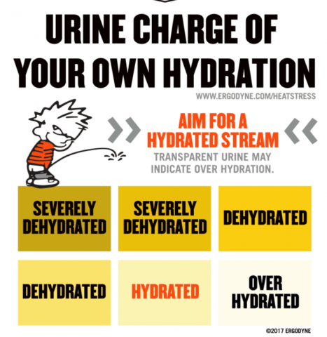 Calvin and Hobbes urine hydration chart