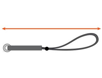 Length measures total length of tail