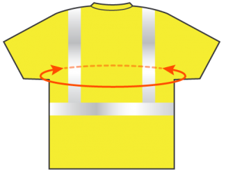 Measure length around your chest