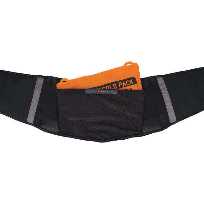 Back support brace with hot cold pack insert