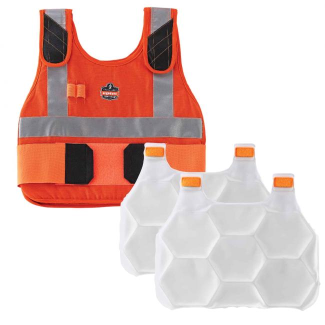 Vest and cooling packs