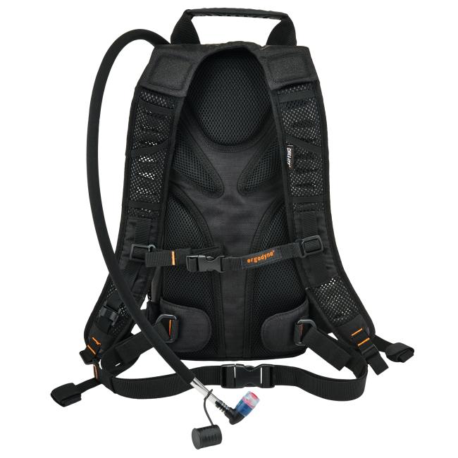 Back of pack