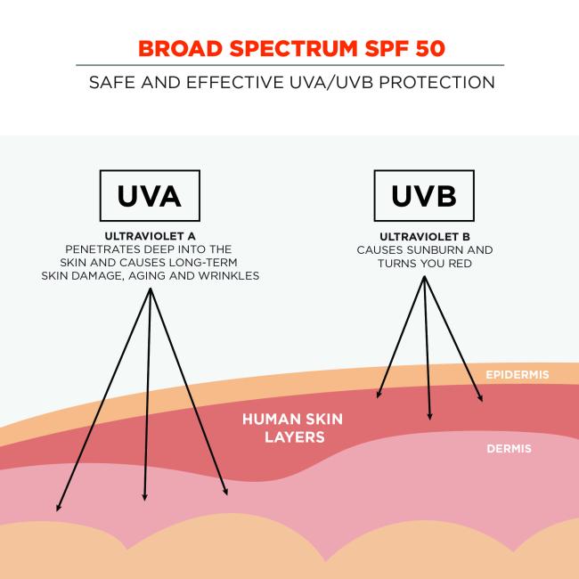 broad spectrum spf 50: safe and effective uva/uvb protection.