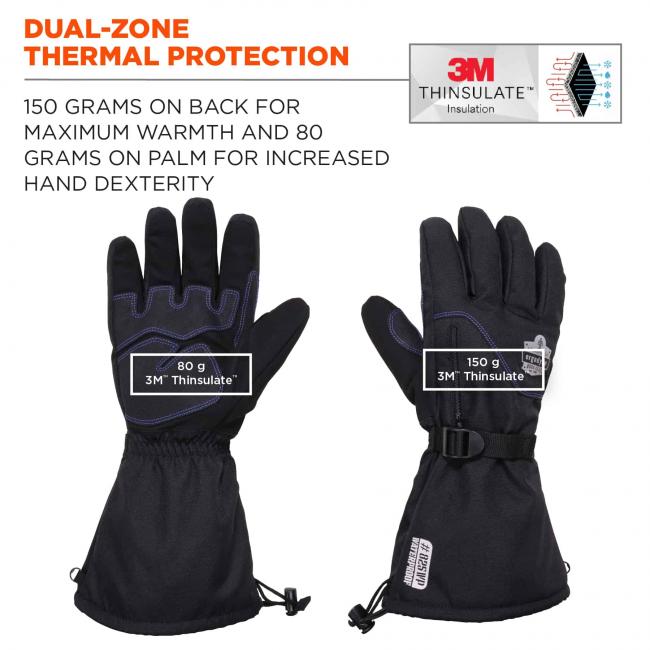 Dual-zone thermal protection: 150 grams on back for maximum warmth and 80 grams on palm for increased hand dexterity. Icon on top right says 3M Thinsulate Insulation. 