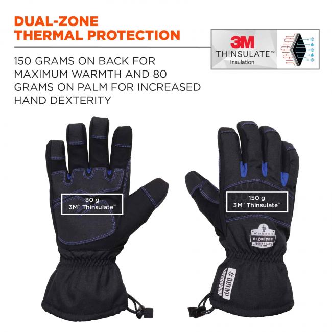 Dual-zone thermal protection: 150 grams on back for maximum warmth and 80 grams on palm for increased hand dexterity. Icon on top right says 3M Thinsulate Insulation. 