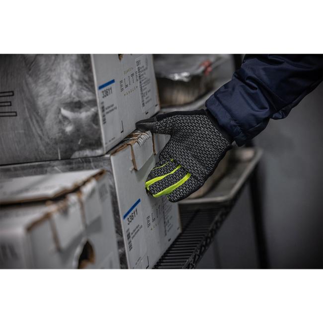 Insulated Freezer Gloves | Ergodyne