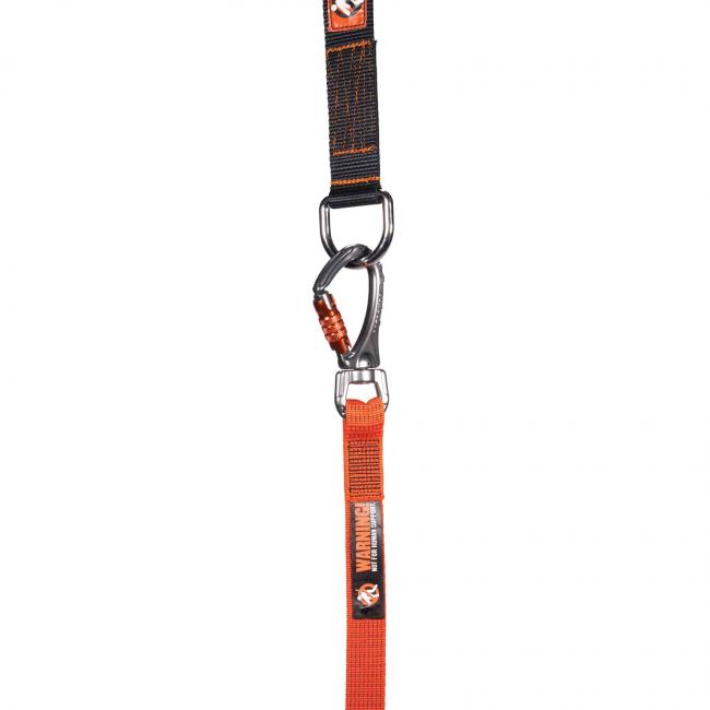 small swiveling carabiner attached to 3175 anchor