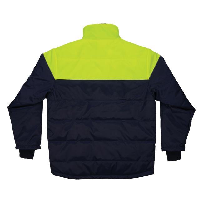 Insulated Freezer Jacket | Ergodyne