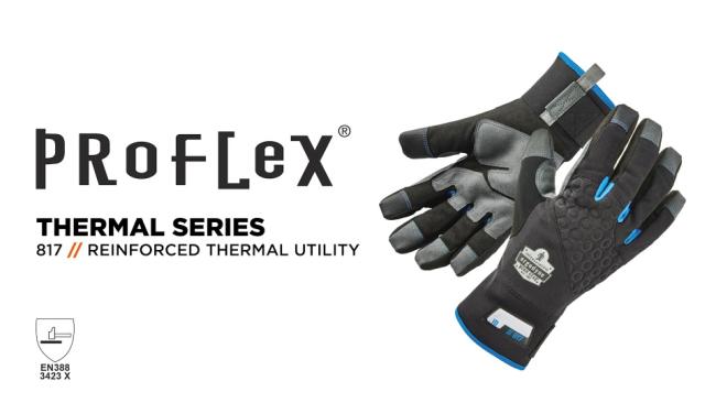 Ergodyne proflex 817wp shop