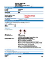 skullerz 8960 8965 nferno 6804 led lights cr2032 safety data sheet pdf