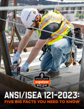 ansi isea 121 five facts you need to know flyer pdf