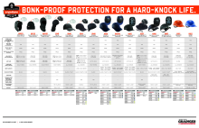 ergodyne Lanyard 121 Requirements pdf, co-branded with Grainger