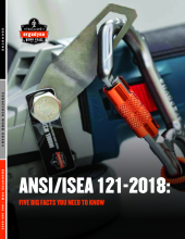 ansi isea 121 2018 five big facts you need to know pdf