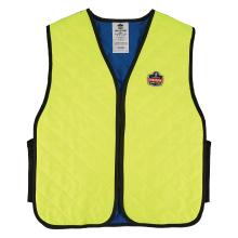 Cooling vest