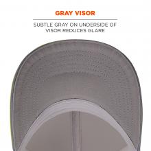 Gray visor. Subtle gray on underside of visor reduces glare