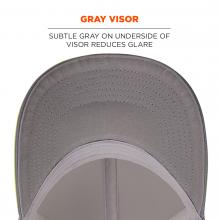 Gray visor. Subtle gray on underside of visor reduces glare