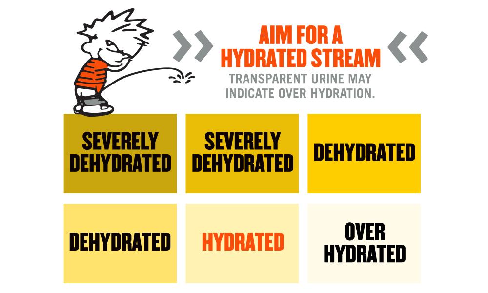 Urine hydration graphic