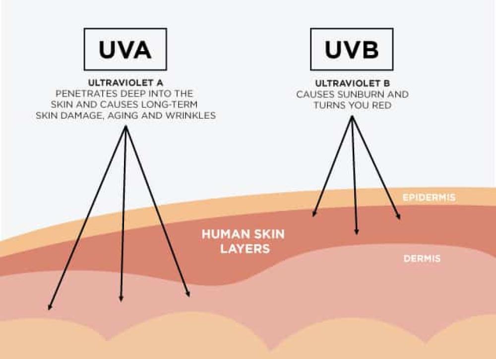 UVA/UVB