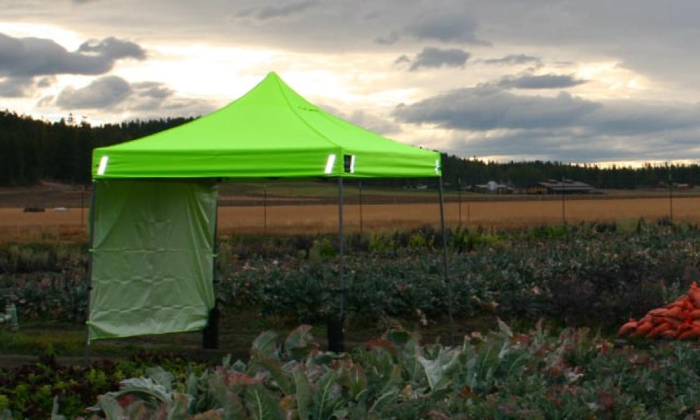 Tent providing shelter in a field