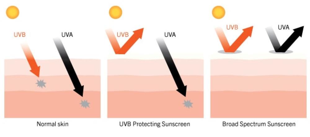 UVA/UVB sunscreen reflection chart