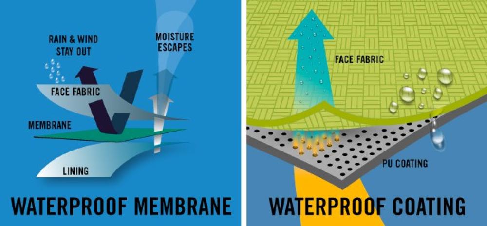 Image describing difference between membrane and coating