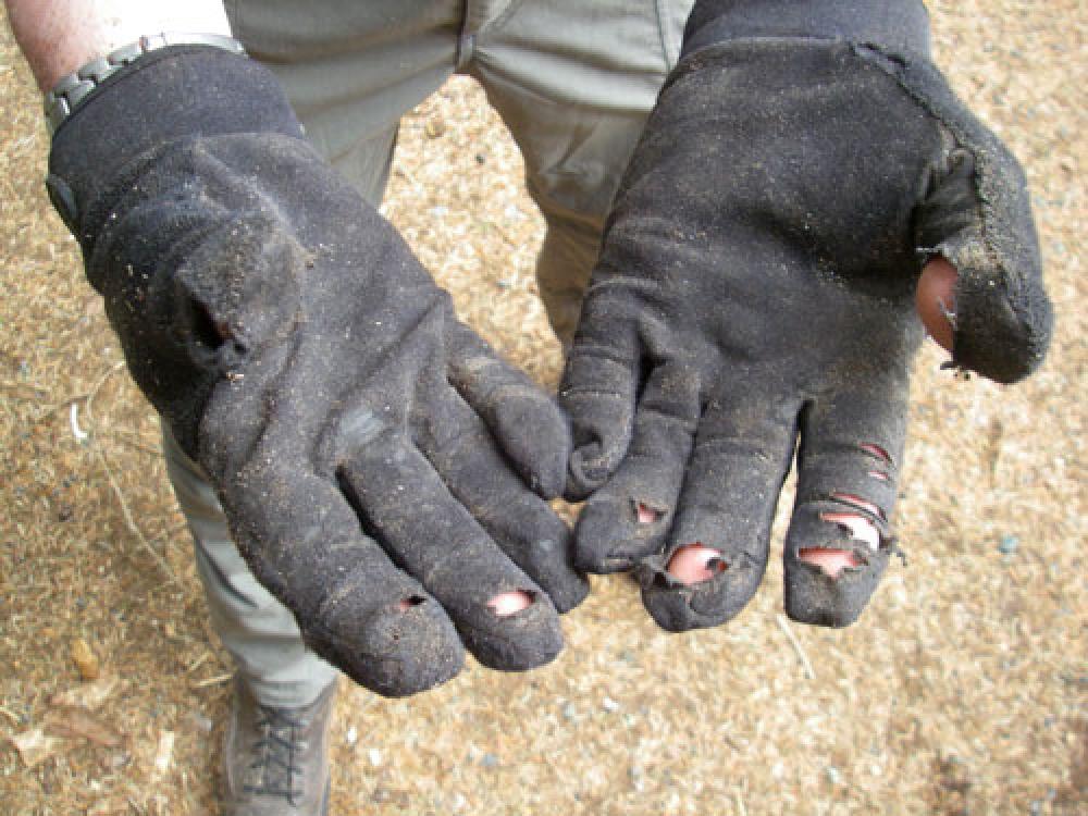 worn out gloves