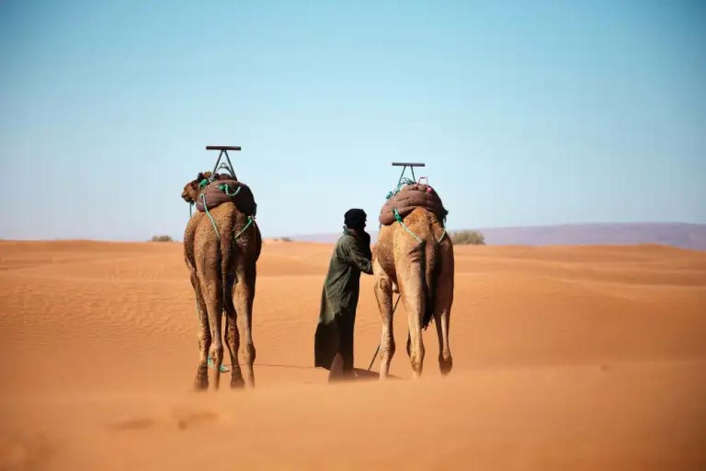 man wearing black in the desert with camels