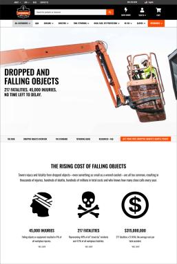 Preview of Dropped and Falling Objects web page